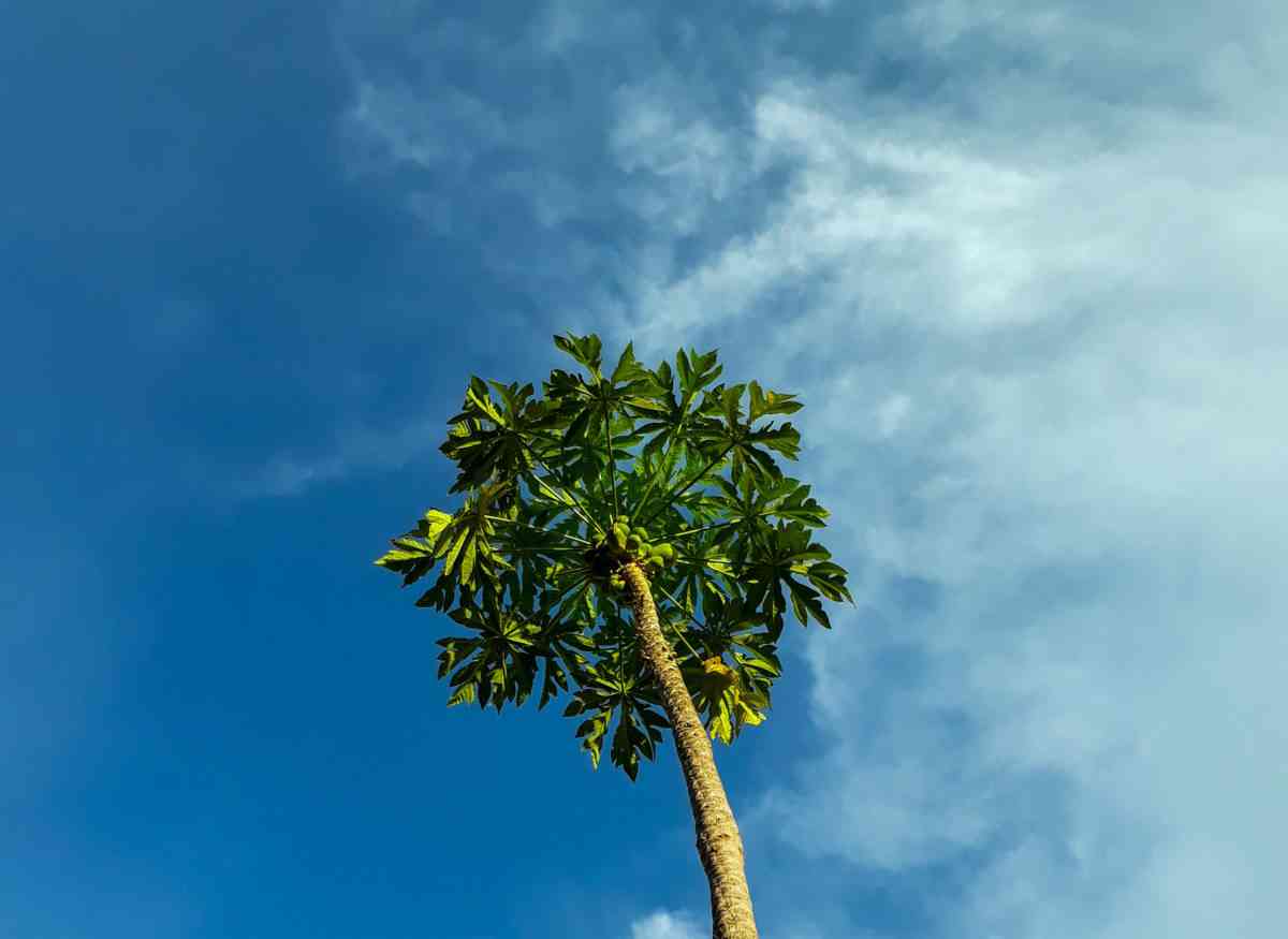 Updated 2021 Is Kinshasa tap water safe to drink? Congo water source