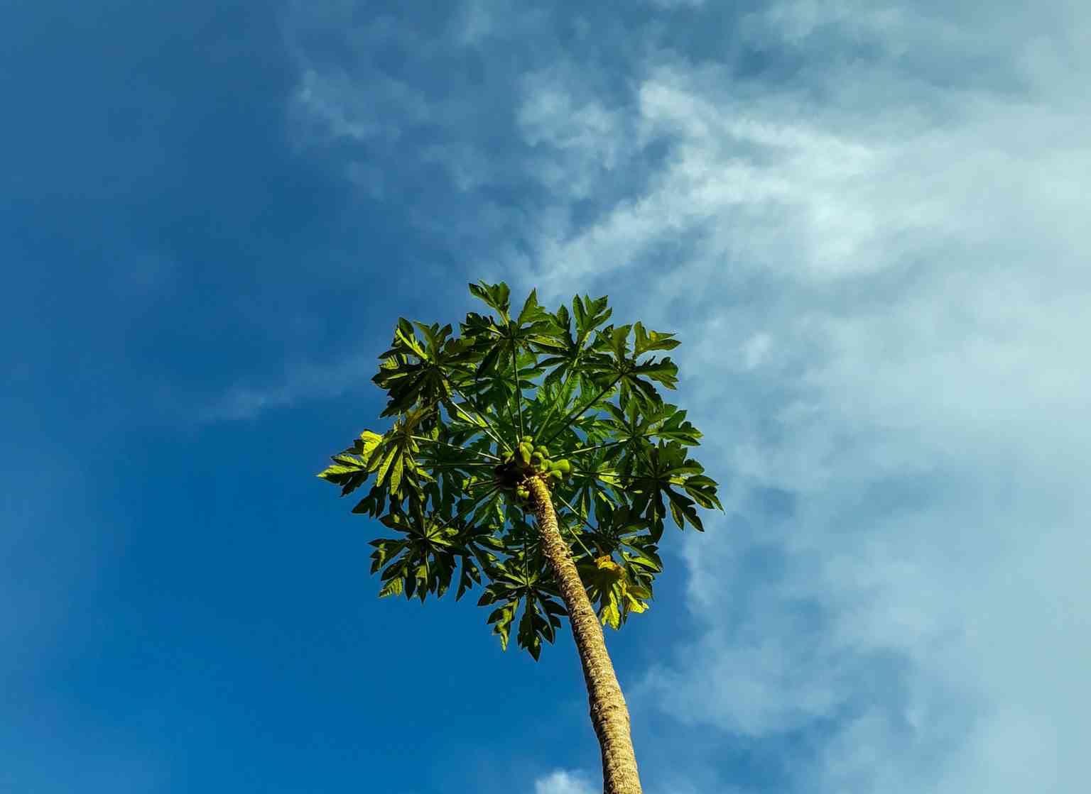 Updated 2021 Is Kinshasa tap water safe to drink? Congo water source