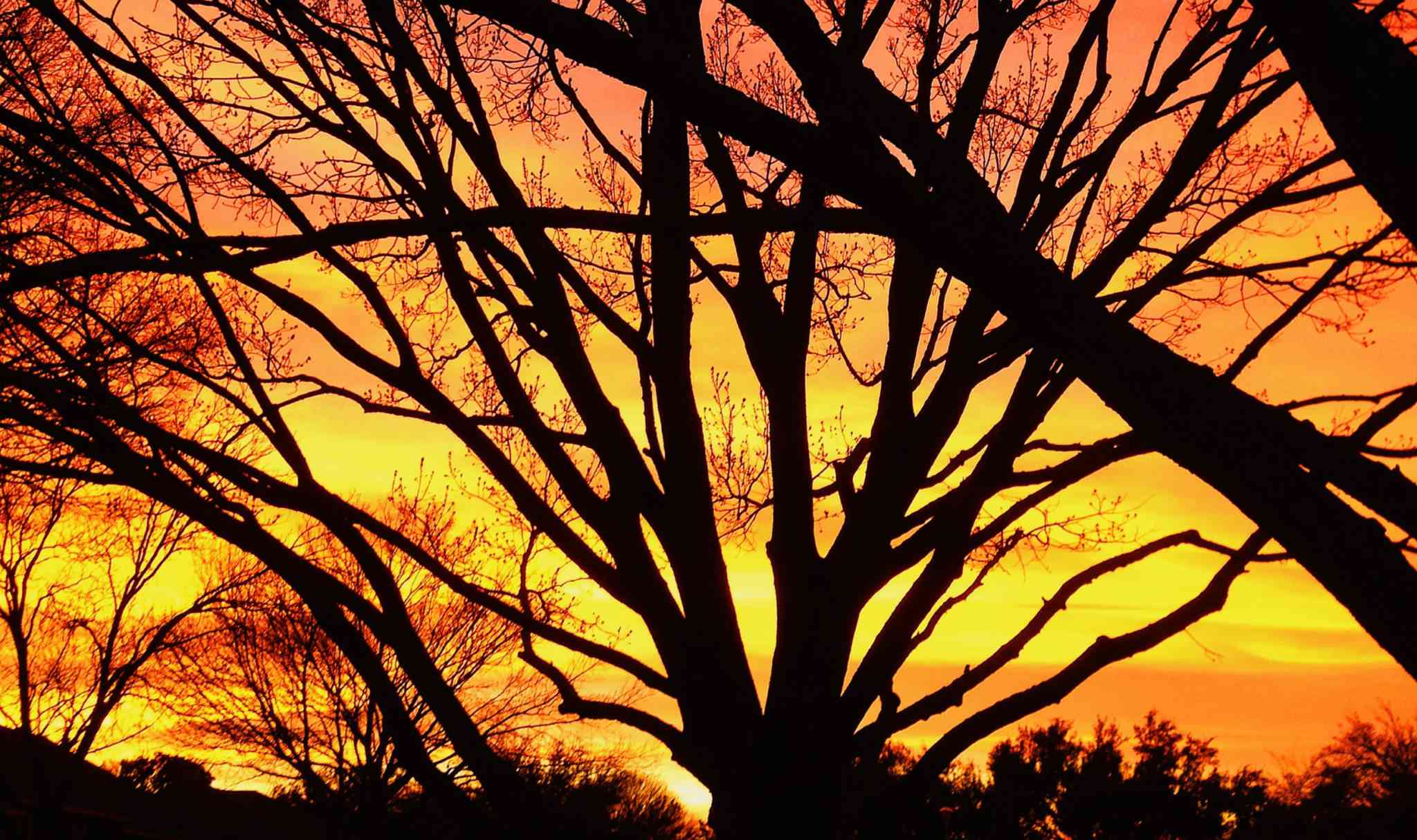 Is Garland Tap Water Safe to Drink? 2022