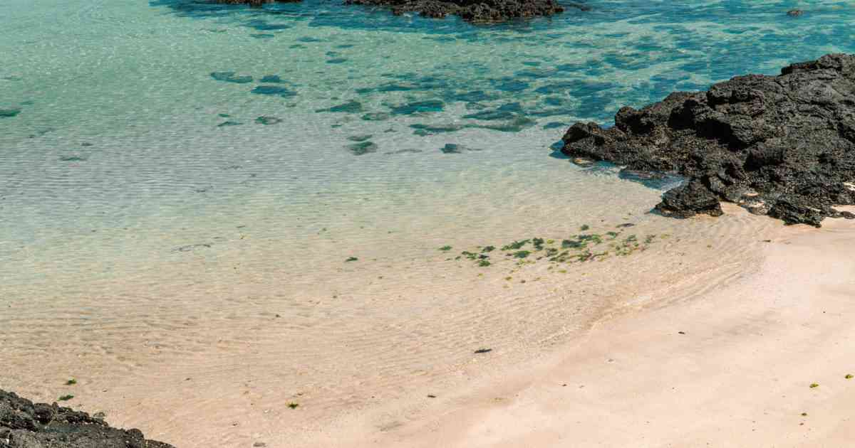 Is Jeju Tap Water Safe To Drink? 2022