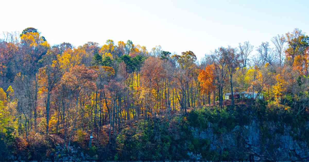 Is Knoxville Tap Water Safe to Drink? 2022