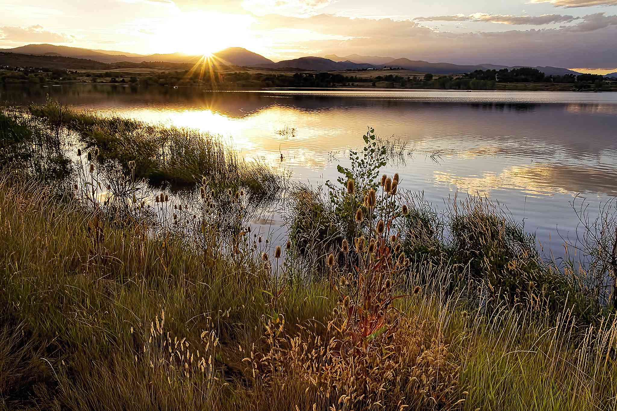 Is Loveland Tap Water Safe to Drink? Tap water & safety quality