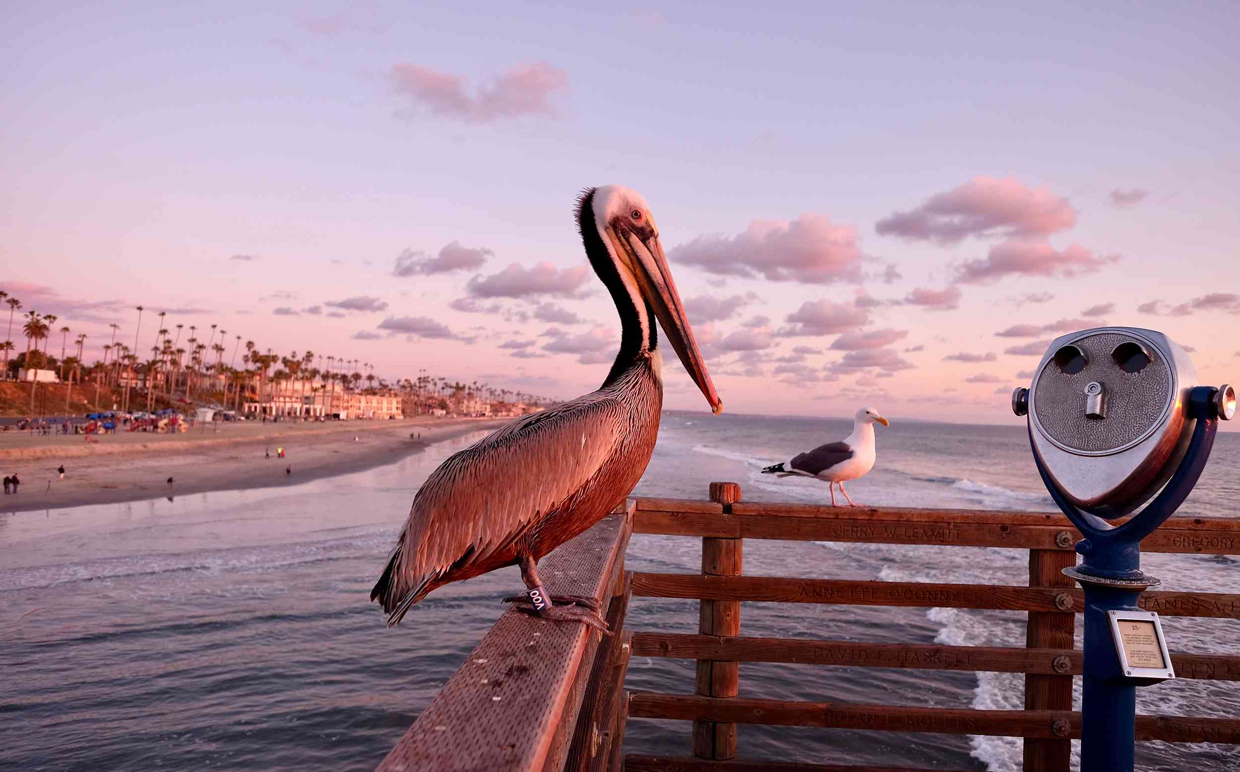 Is Oceanside Tap Water Safe to Drink? Tap water & safety quality