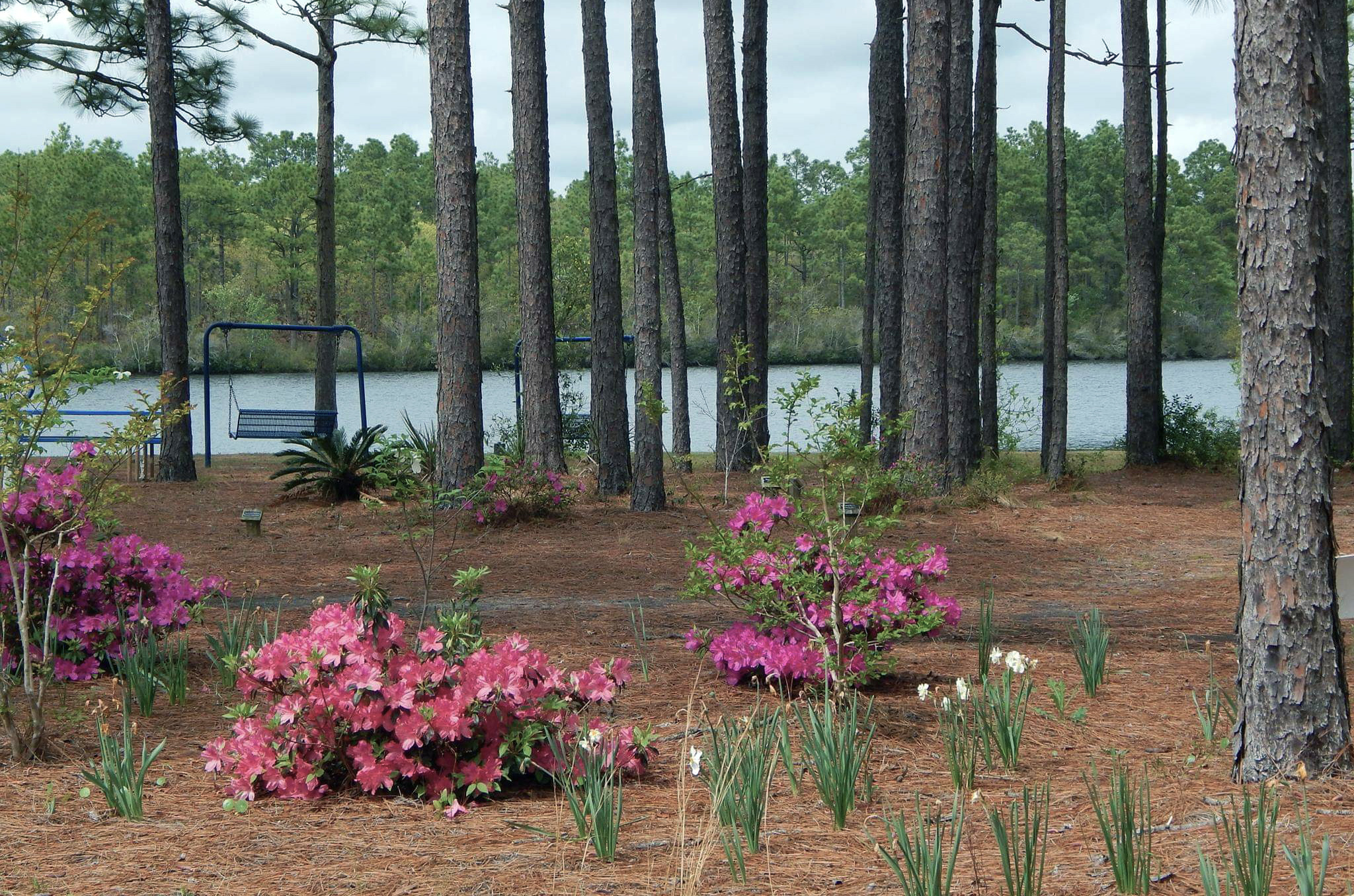 Is Boiling Springs Tap Water Safe to Drink? Tap water & safety quality